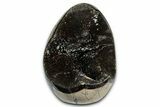 Free-Standing, Polished Septarian Geode - Black Crystals #337285-1